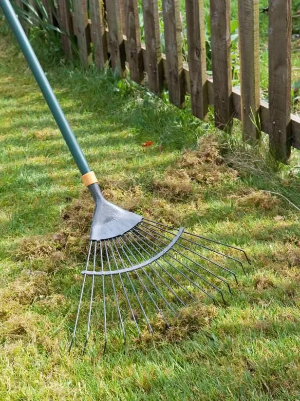 Garden Cleanup