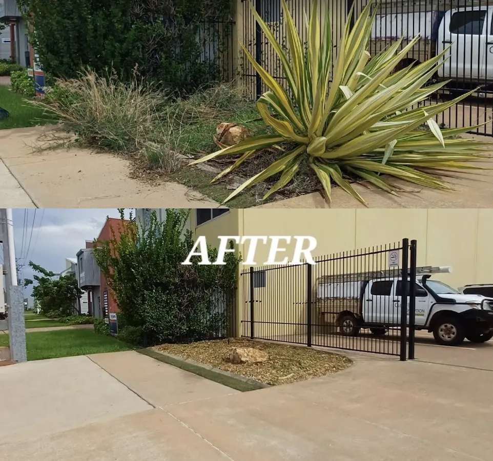 Overgrown lawn and garden cleanup — Hampton Park. Overgrown frontage cut back and cleared, finished as a tidy mulched garden bed.