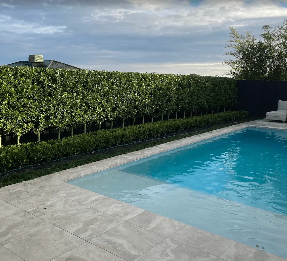 Hedge shaping in Berwick — tall screening hedge squared off above a low border hedge beside a pool