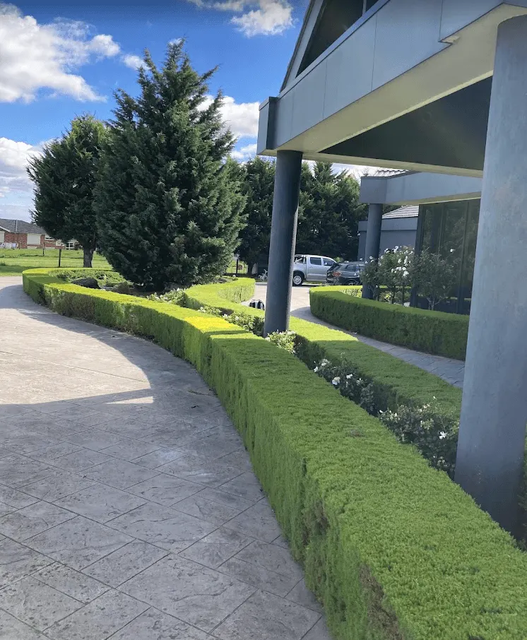 Curved low garden hedges trimmed along a driveway at a Berwick home