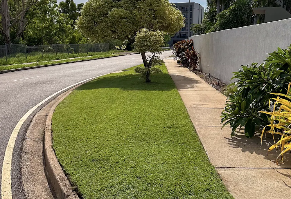 Curved nature strip cleanup — Narre Warren North. Long kerbside strip mown back to a lush even finish, trimmed around the tree and footpath.