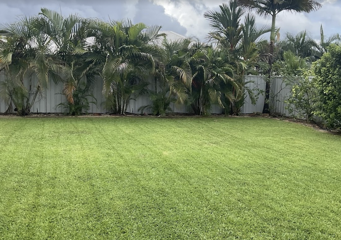 A lawn kept on a fortnightly maintenance schedule, freshly mown with clean edges