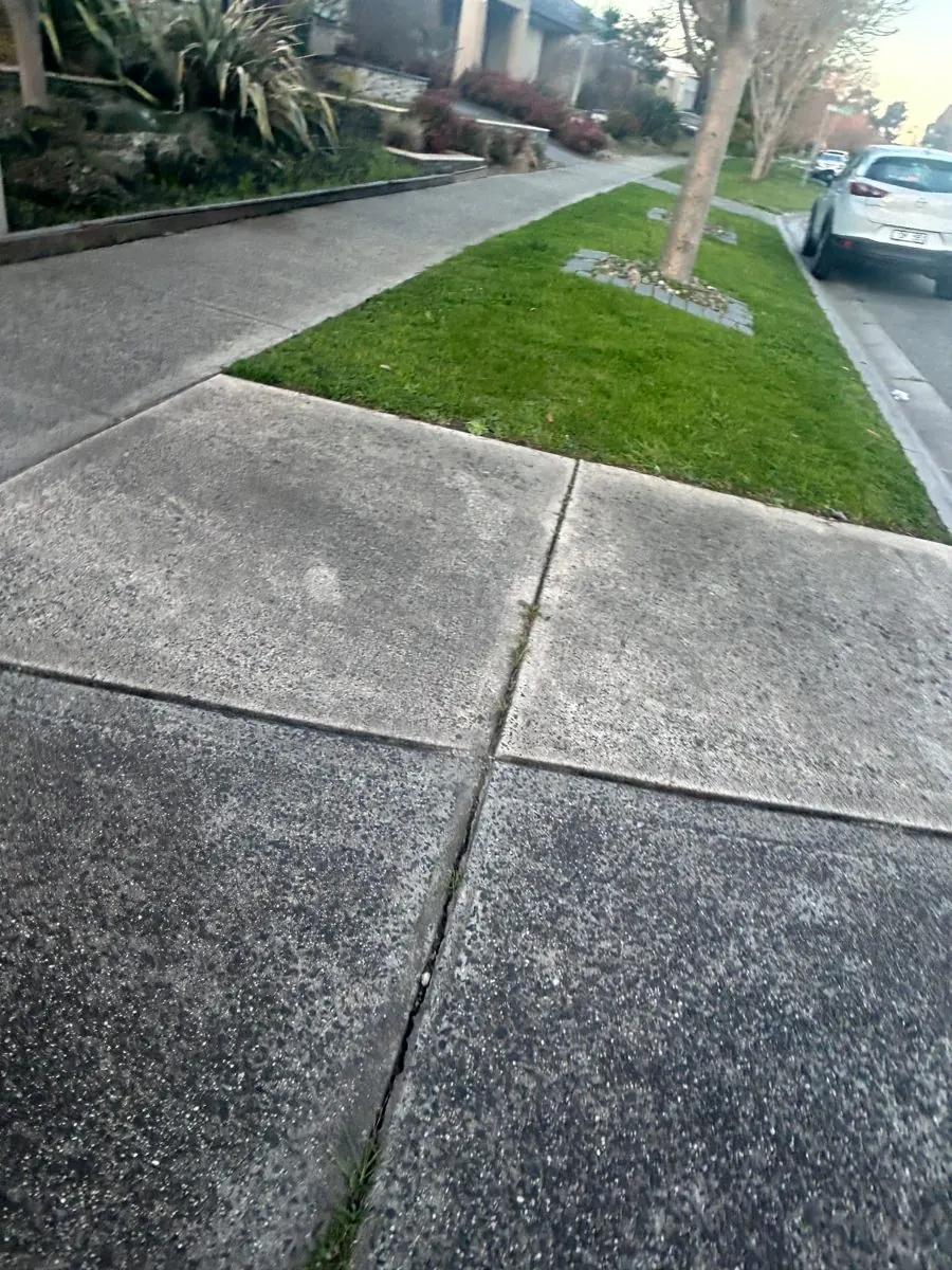 Nature strip mow and edge — Berwick. Nature strip mown and edged along the footpath and driveway crossover, trimmed around the street tree and stepping stones.