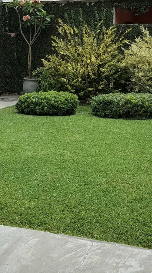 Garden tidy and weeding completed in Berwick Chase Estate VIC