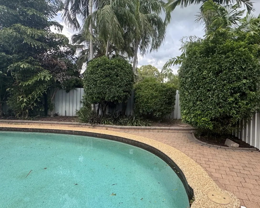 Poolside bush trimming — Hampton Park. Bushes and screening shrubs tidied back off the pool surround and paving.
