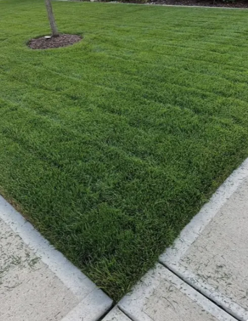 Lawn care and edging completed in Berwick Springs VIC