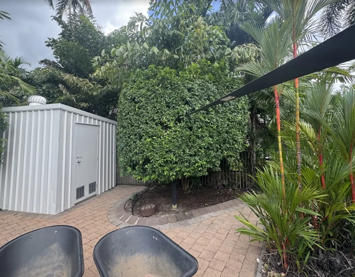 Screening hedge and shrub trimming — Harkaway. Screening hedge and shrubs squared off around the shed and paved area, with the paving swept clean.