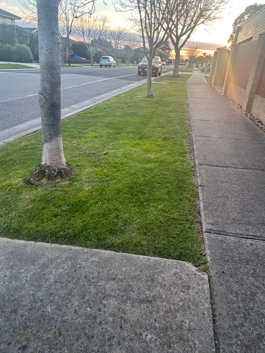 Kerbside lawn mowing — Berwick VIC. Long street-front nature strip mown and edged clean against both the kerb and the footpath.