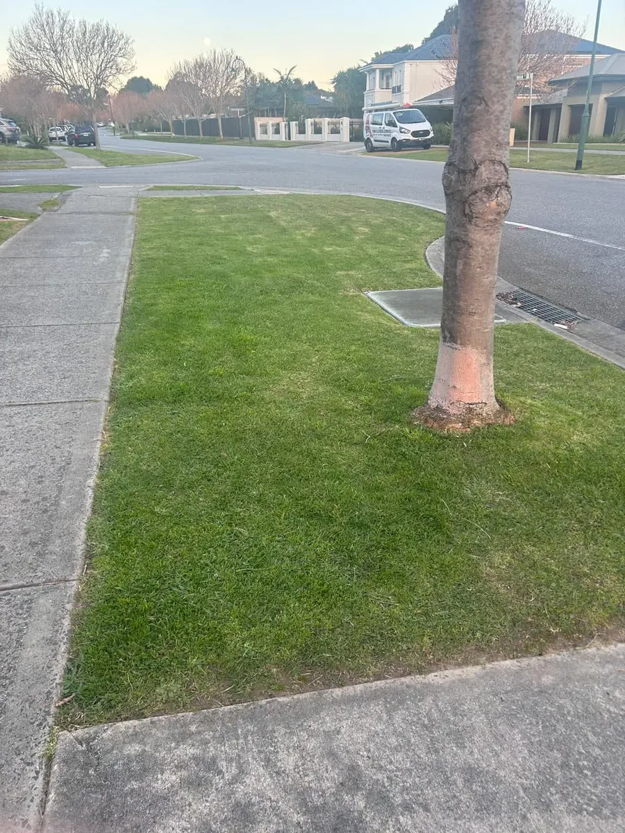 Lawn mowing service — Berwick. Long corner-block nature strip mown in even passes right up to the kerb.