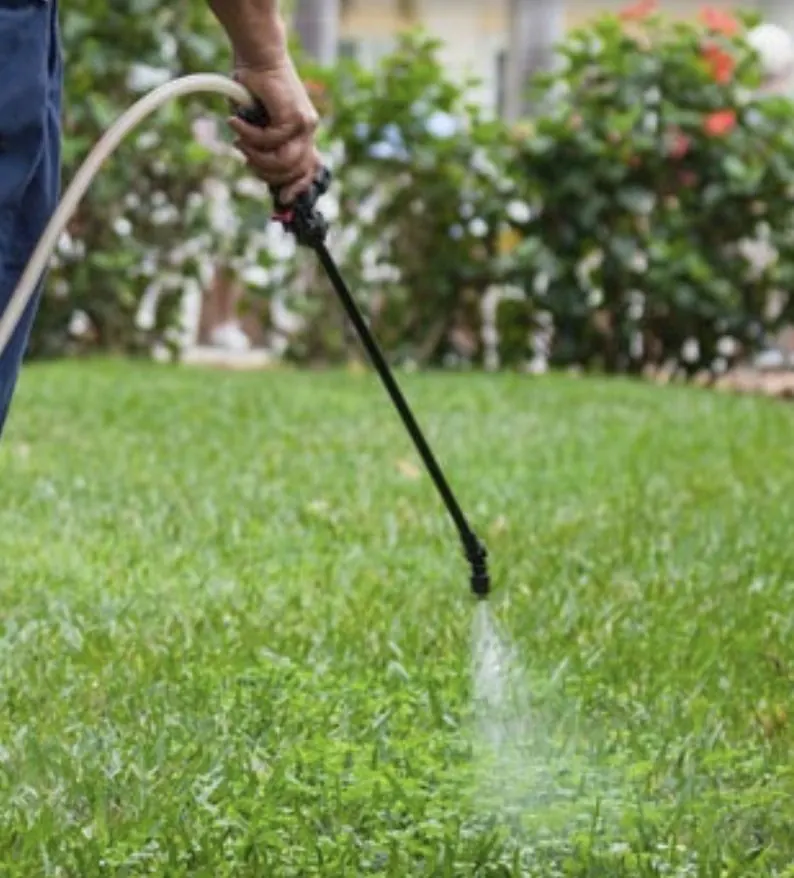 Lawn weed treatment — Berwick. Broadleaf weeds spot-sprayed across the lawn, targeting the weeds without harming the grass.